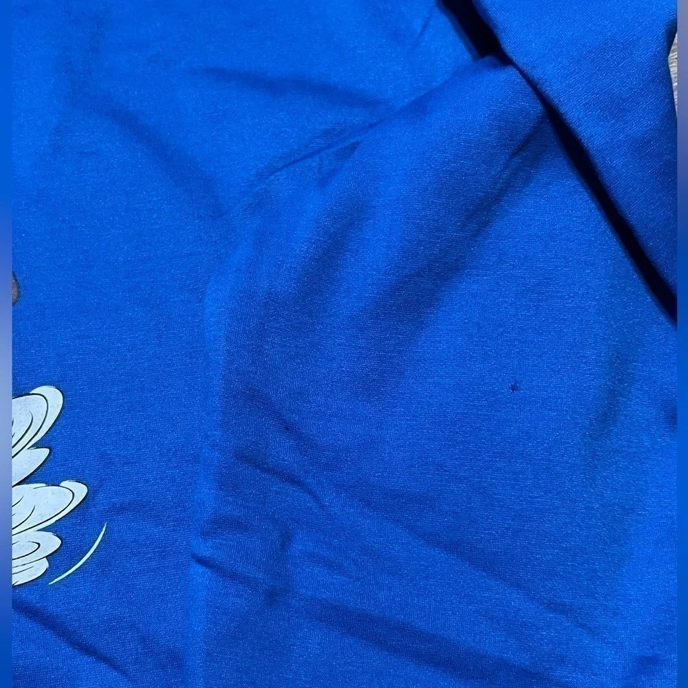 Looney Tunes Royal Blue Pullover Men’s  (Sz 2X)